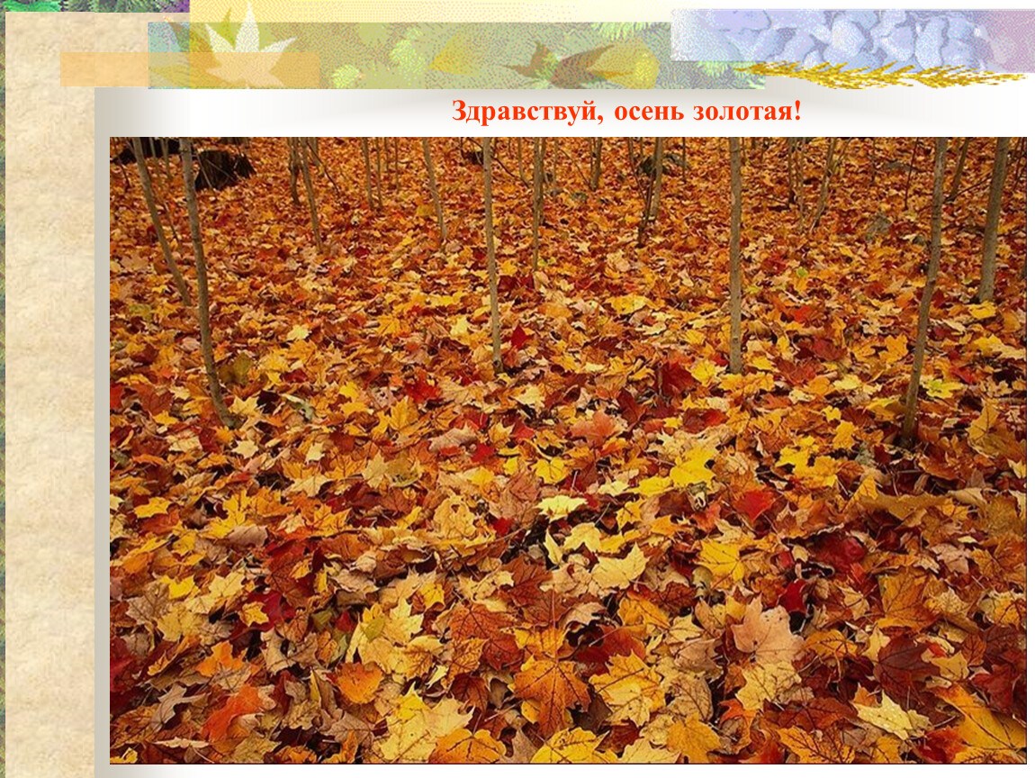 Листья жёлтые над городом кружатся слушать караоке