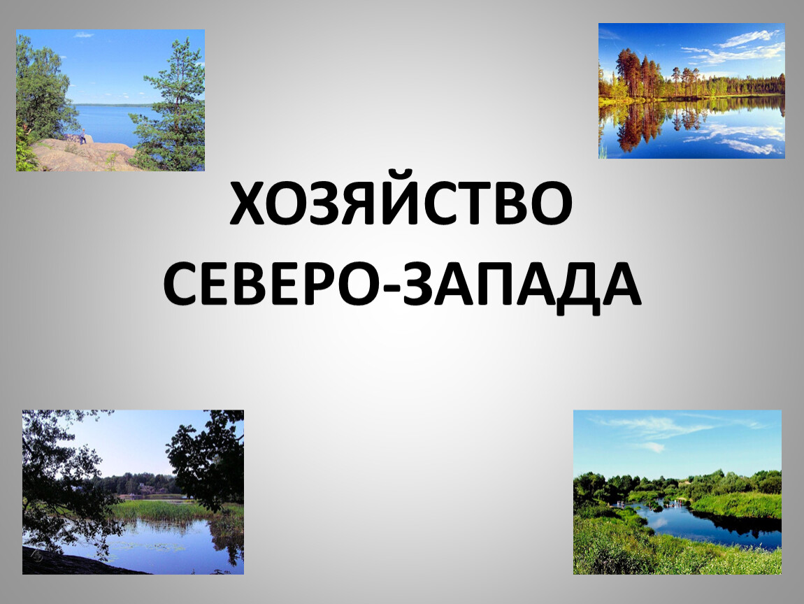 Западное хозяйство. Северо Запад экономический район сельское хозяйство. Хозяйство района Северо Западного района. Хозяйство Северо Западного района России. Хозяйство европейского Северо Запада.