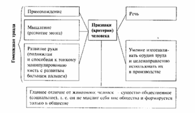 Обществознание в схемах и таблицах