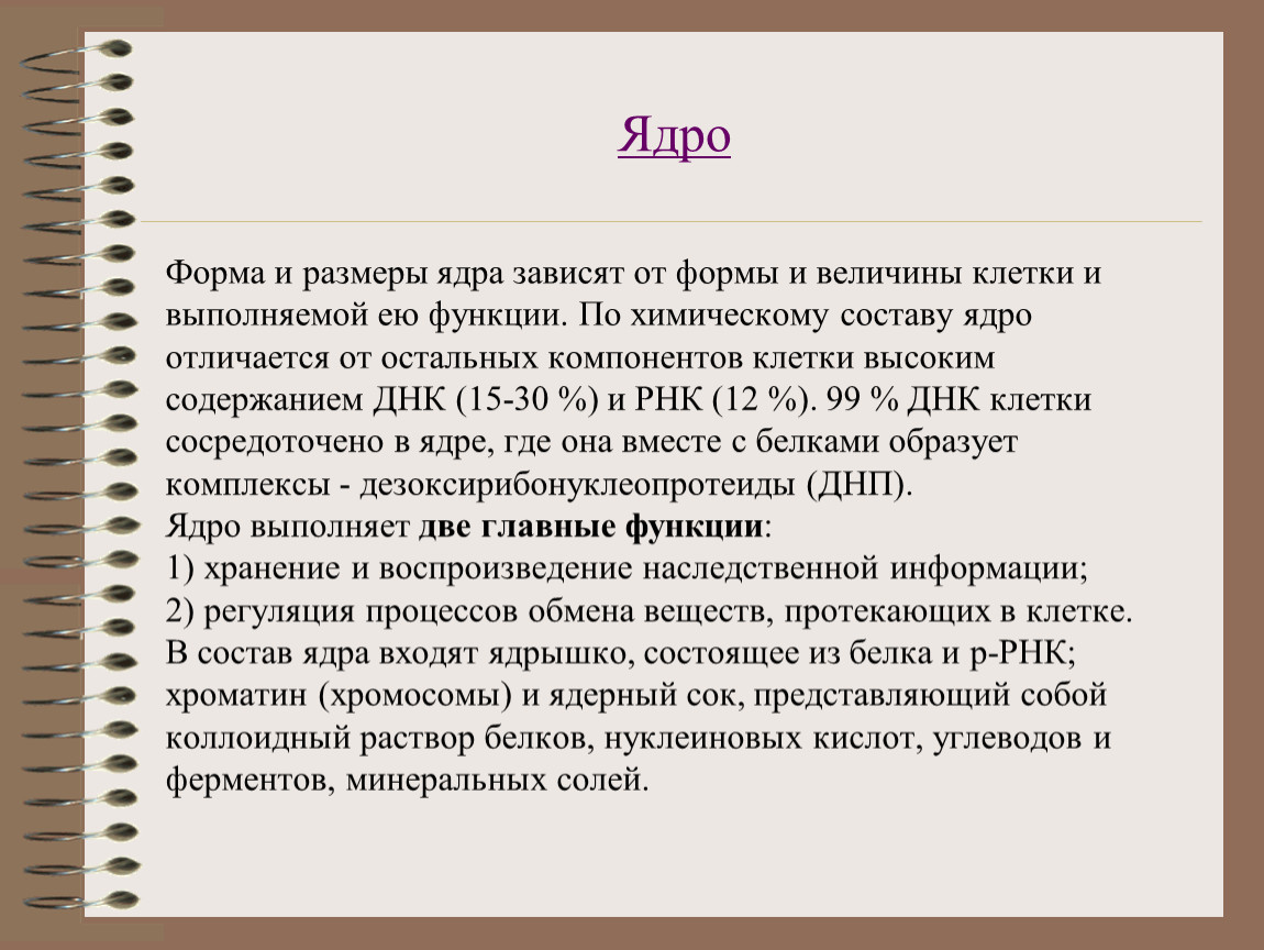 Величина клетки. Химический состав ядра. Химический состав ядра клетки. Химический состав ядрышка клетки. Формы и Размеры ядра.