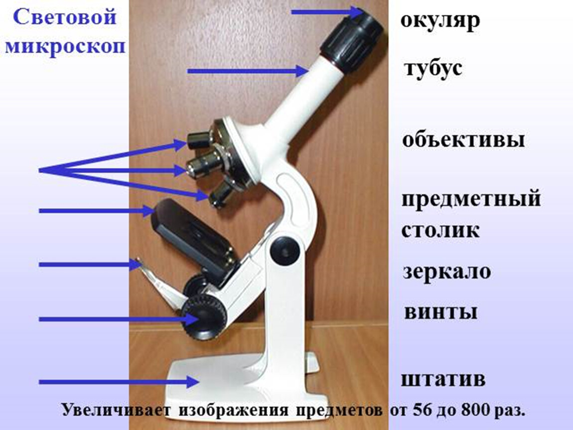 Презентация 