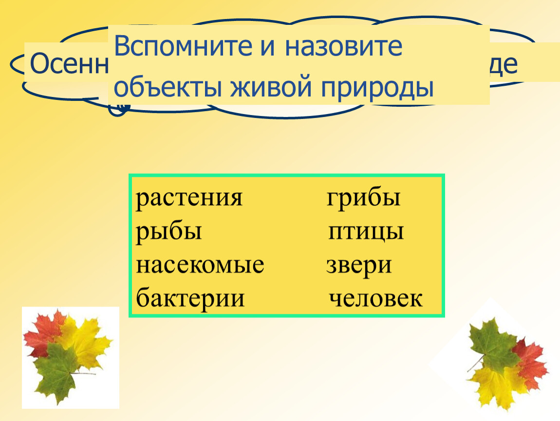 В гости к осени презентация