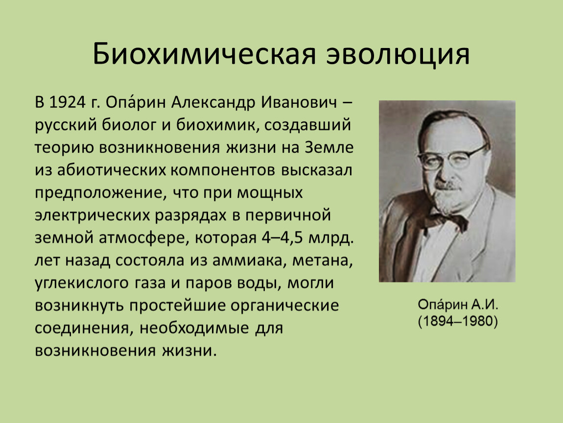 Гипотеза биохимической эволюции рисунок