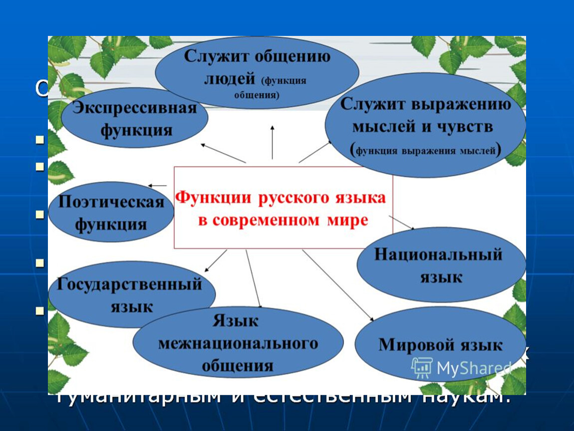 Особенности современного русского языка