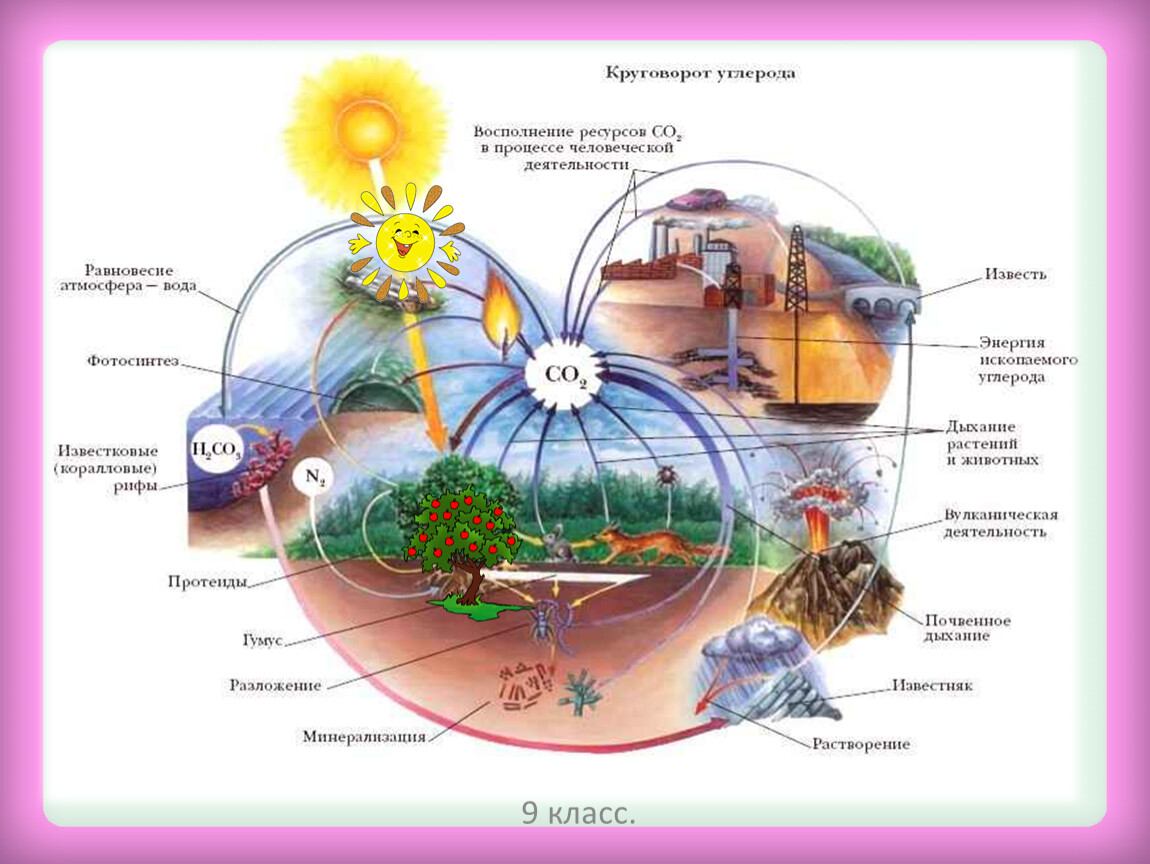 Что происходит в мире природы. Круговорот углерода в биосфере. Биосфера круговорот веществ в биосфере. Схема биологического круговорота веществ. Круговорот веществ в природе Биосфера.