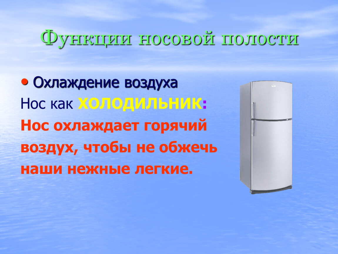 Функции воздуха. Нос охлаждает горячий воздух. Функции носовой полости охлаждение воздуха. Носовой холодильник.