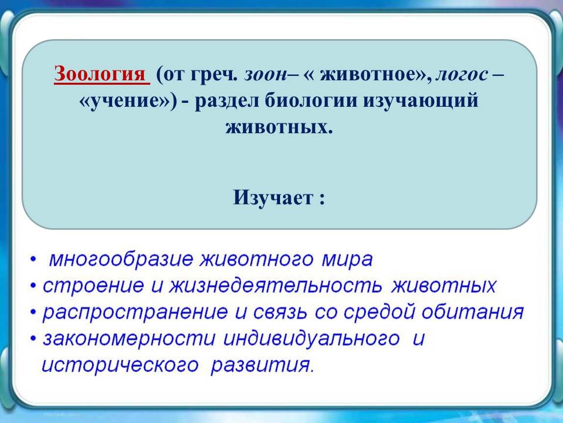 Своя игра по зоологии презентация 7 класс
