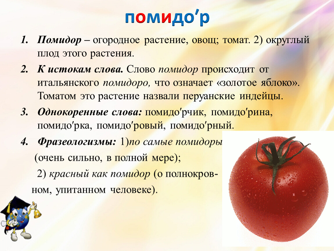 Помидор имя прилагательное подобрать. Слово помидор. Предложение со словом томат. Этимологические слова помидор. Помидор относится группам растений.