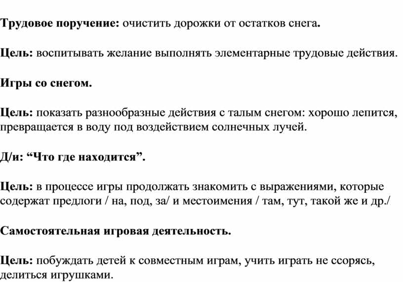 Трудовое поручение: очистить дорожки от остатков снега