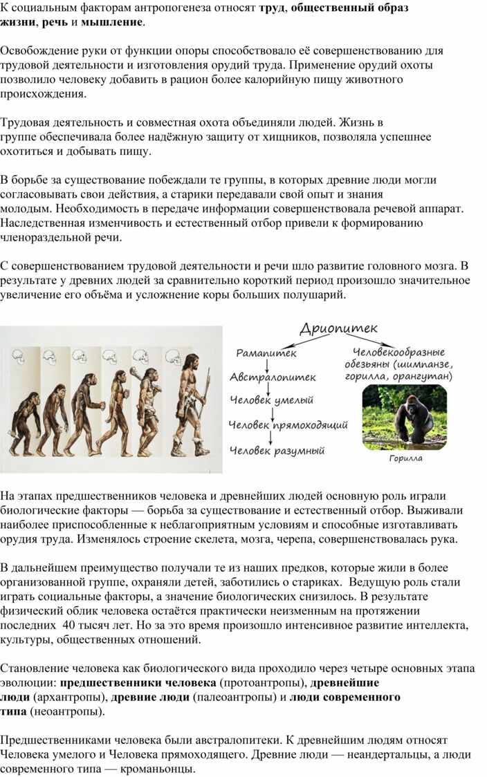 Реферат: Доказательство гипотезы происхождения человека от животных. Скачать бесплатно и без регистрации
