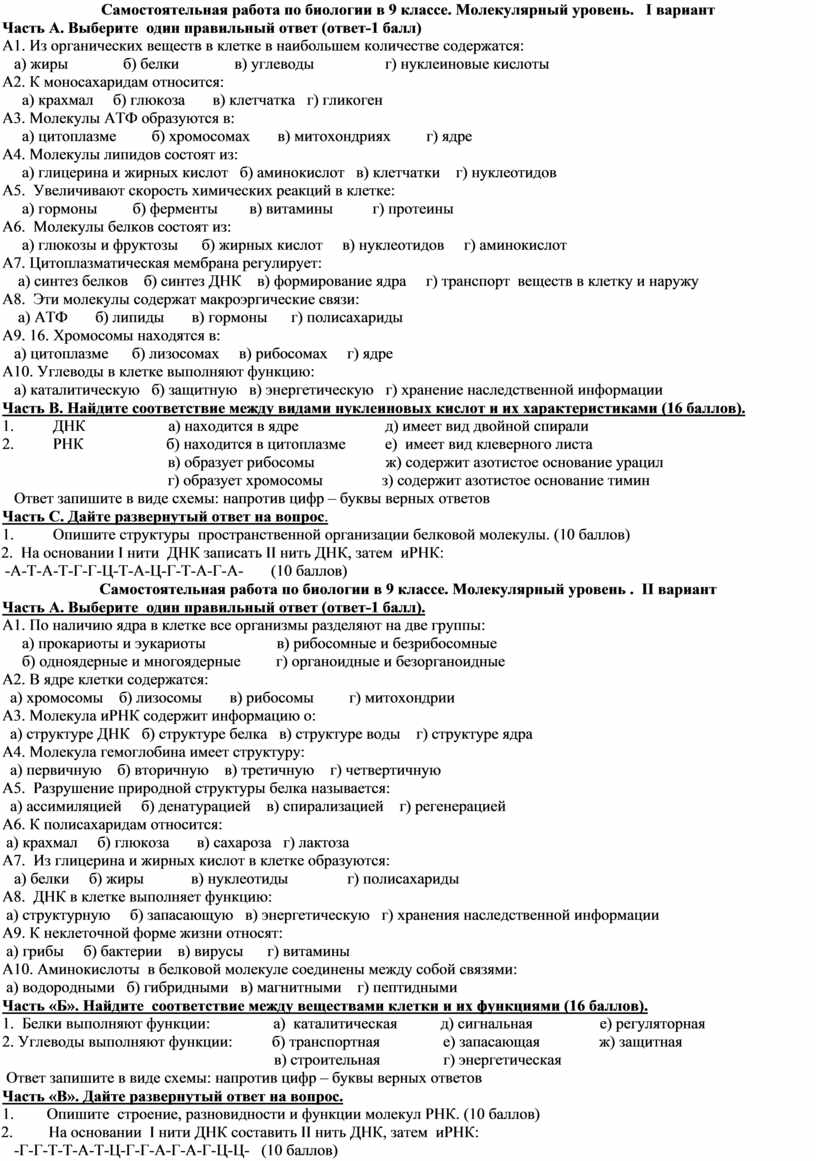 Молекулярный уровень общая характеристика 10 класс презентация пасечник линия жизни