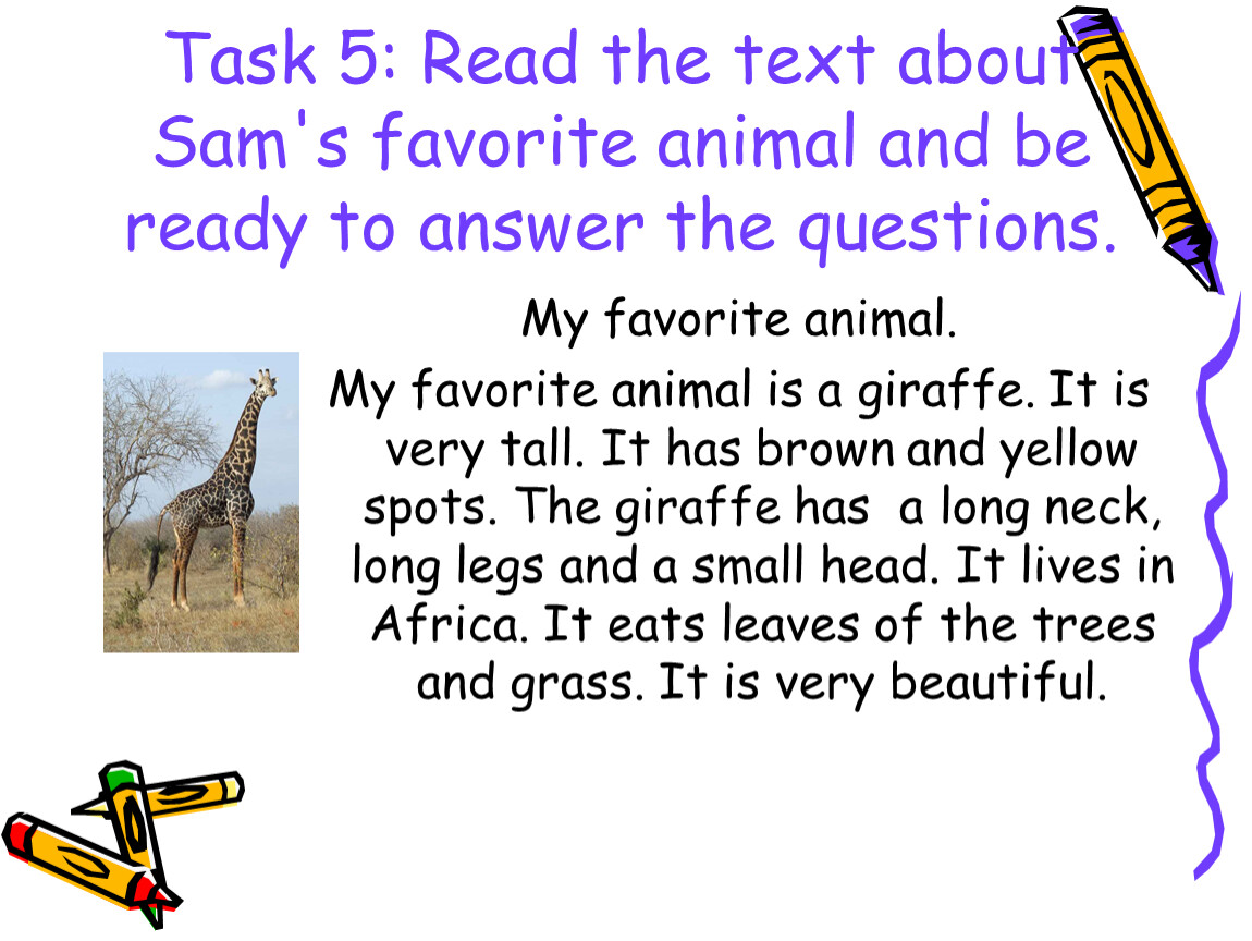 The text is about. Английский язык my favourite animal. Проект my favourite animal. Тема my favourite animal. Проект на тему my favourite animal.