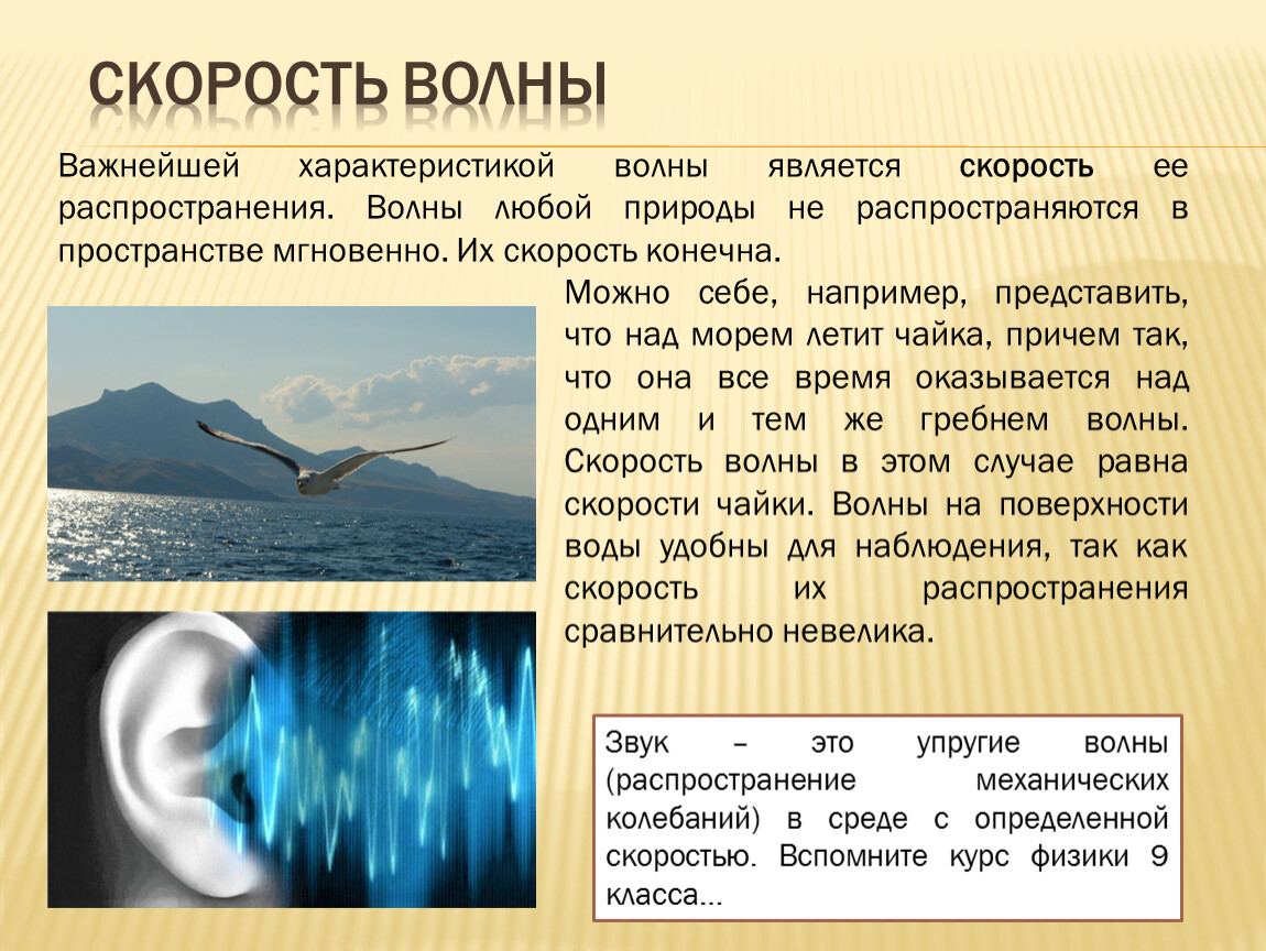 Волны являются. Скорость волны. Скорость волны в физике. Скорость волны в воде. Волновые явления распространение волн характеристики волны.