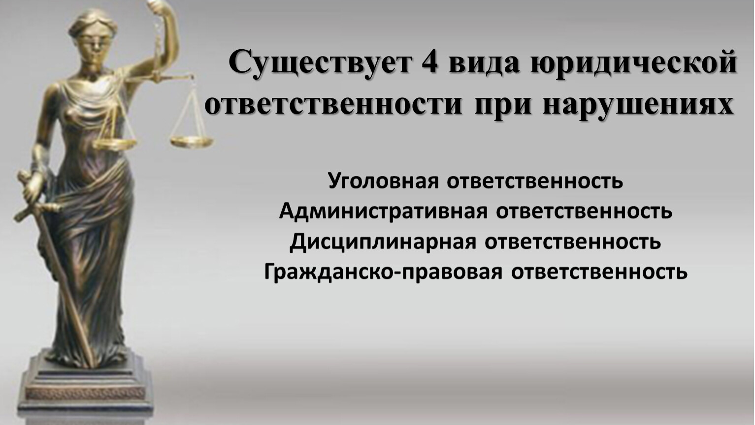 Юридическая ответственность следует за нарушение любых социальных. Виды юридической ответственности. Разновидности юристов.