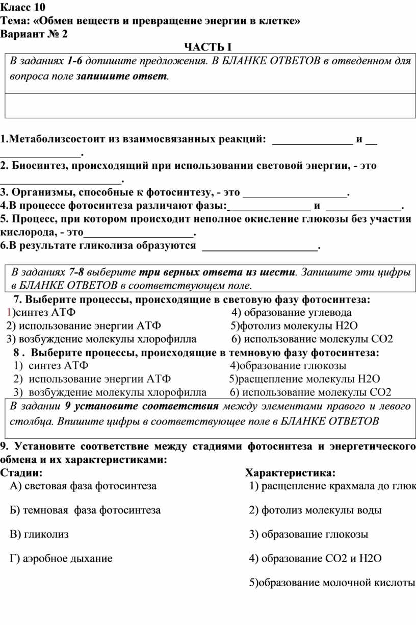 Урок обобщения знаний учащихся по теме «Обмен веществ и энергии в клетке»10  класс