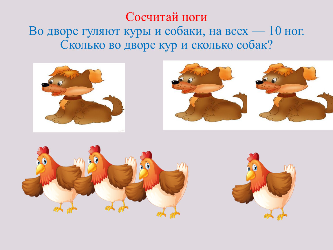 Задача сколько ног и голов. Задачи на логику про куриц. Задачки с курицами. Задачи курица и цыплята для дошкольников. Курица задания для детей.