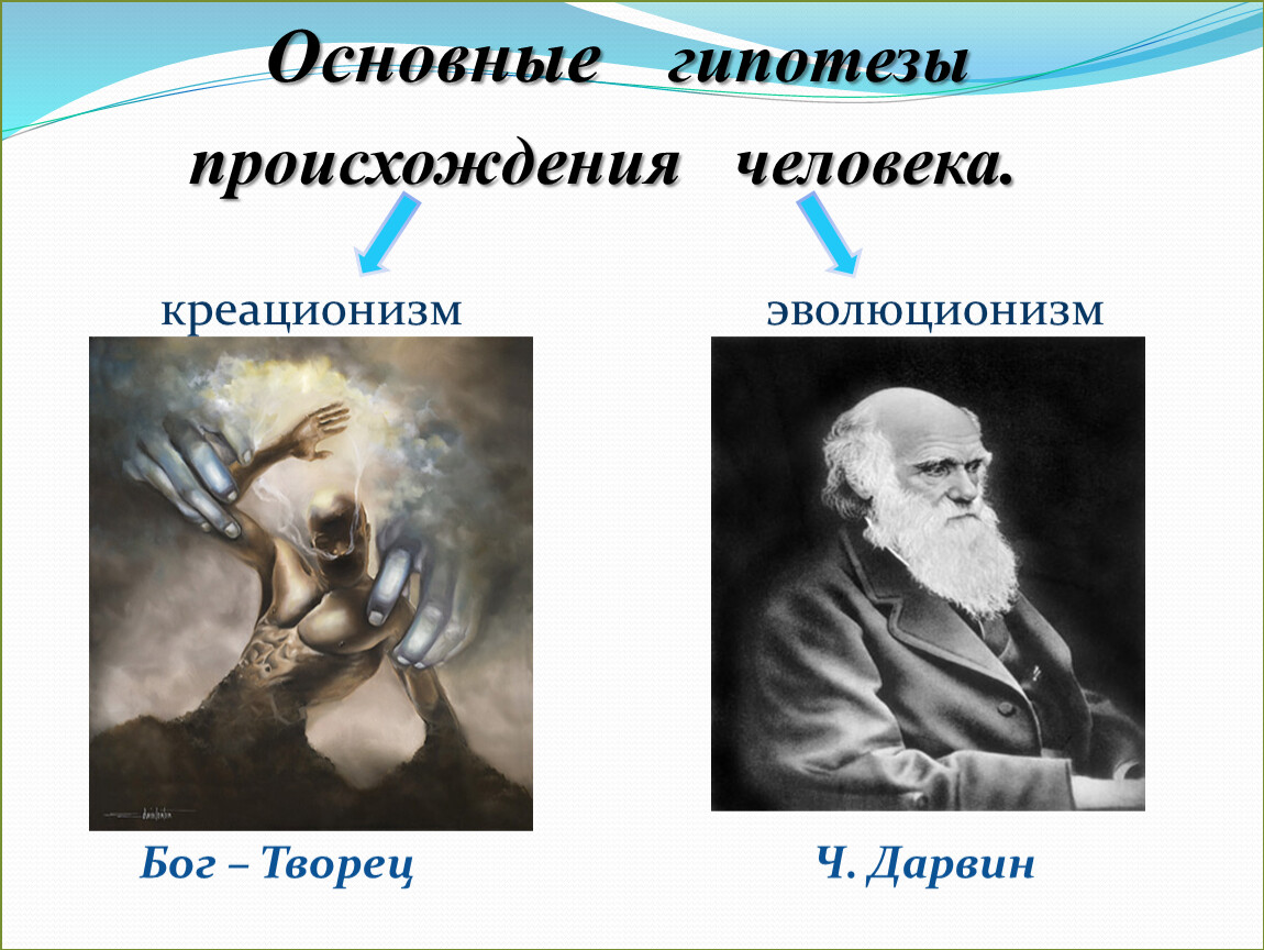 Основные гипотезы о происхождении белорусов. Основные гипотезы происхождения человека. Материалистическая теория происхождения человека. Ученые выдвинувшие гипотезу о происхождении человека. Материалистическая гипотеза происхождения человека.