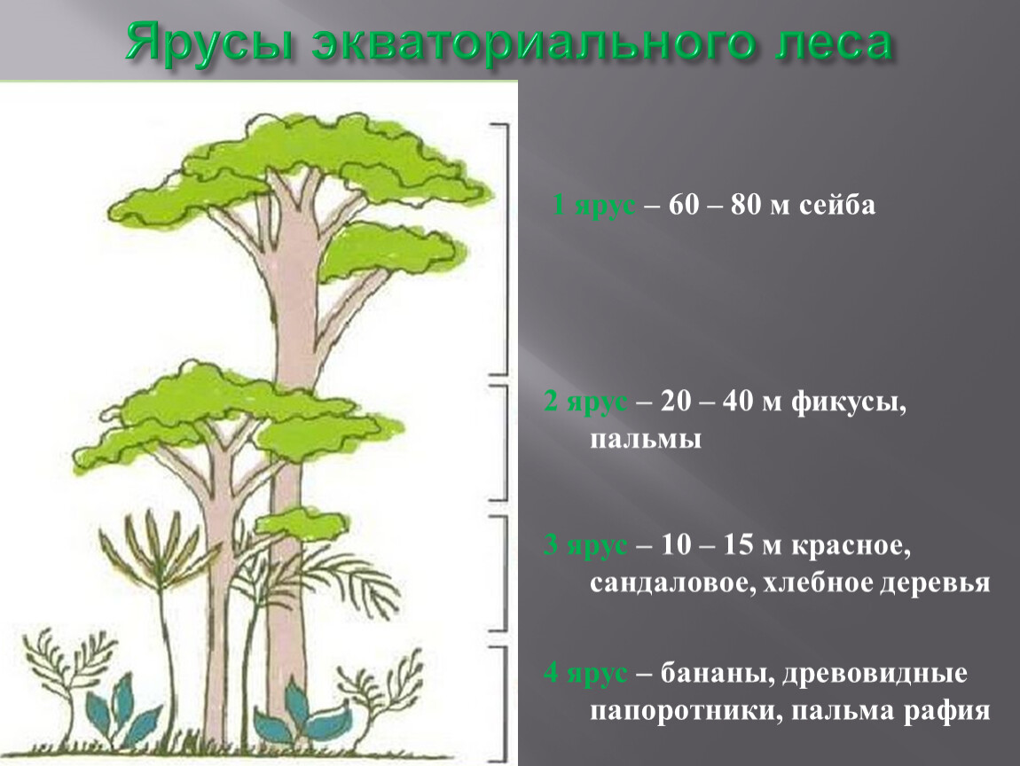 Сколько цветочков поместится на верхний ярус