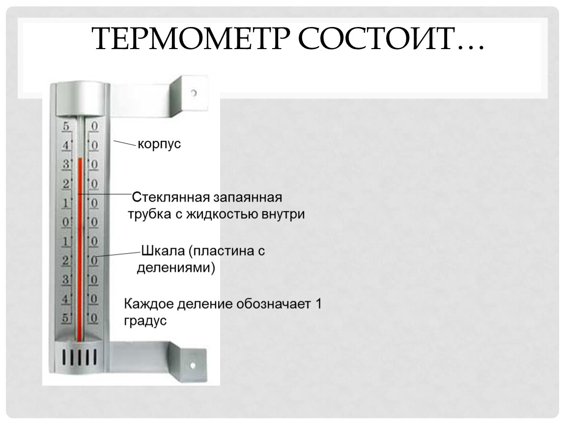 Покажи части термометра. Строение термометра. Термометр состоит. Из чего состоит термометр. Градусник состоит.