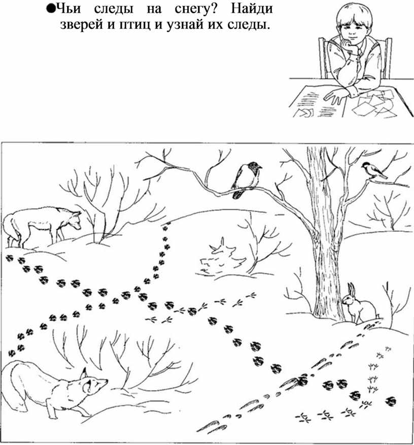 Пользуясь рисунком февраль март. Животные зимой задания для детей. Животные зимой задания для дошкольников. Задания дошкольникам следы. Задание следы животных на снегу.