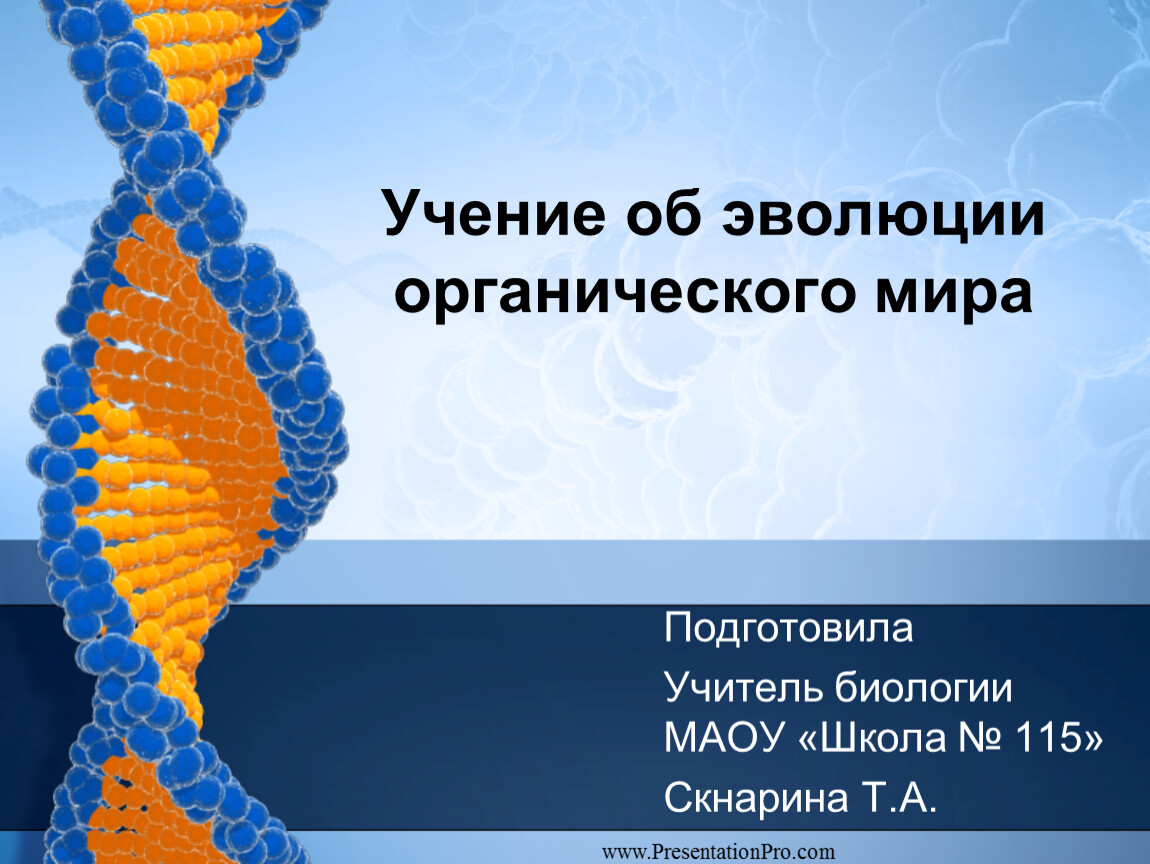 Презентация на тему эволюции органического мира