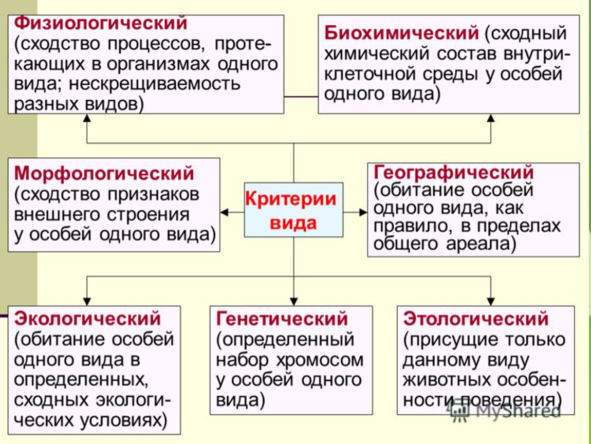 Понятие вида в биологии презентация