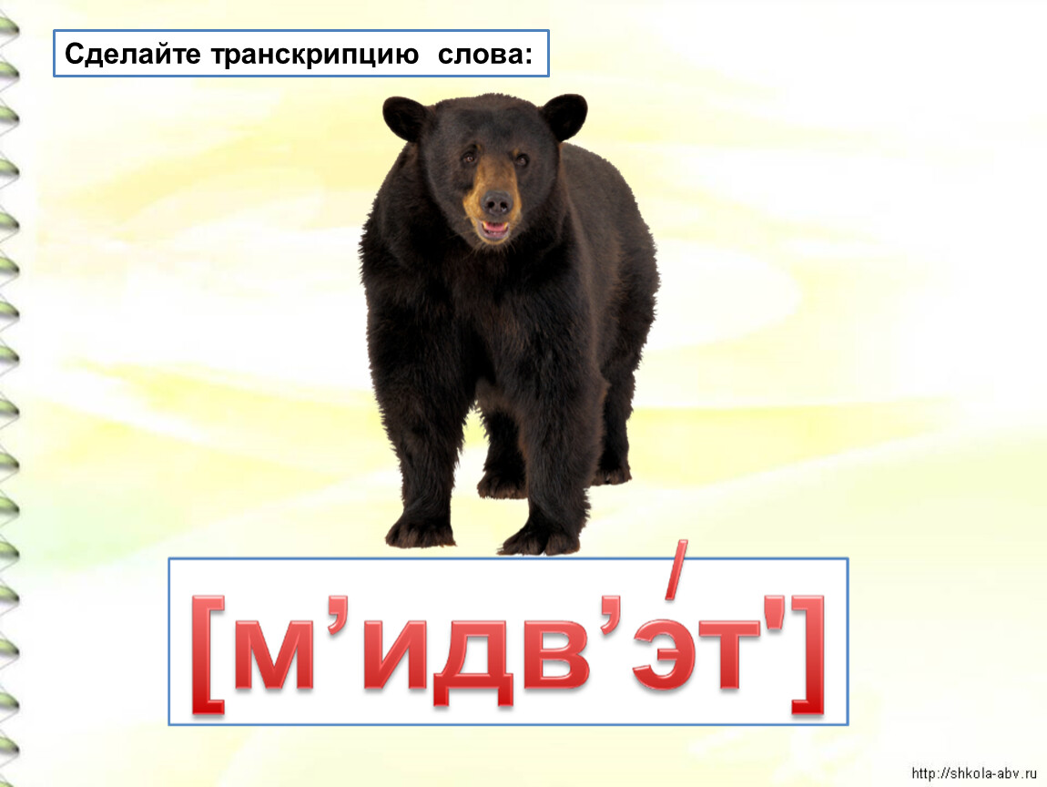 Произносим слово медведь. Транскрипция слова медведь. Медведь анализ слова. Разбор слова медведь. Транскрипуия слова Медведъ.