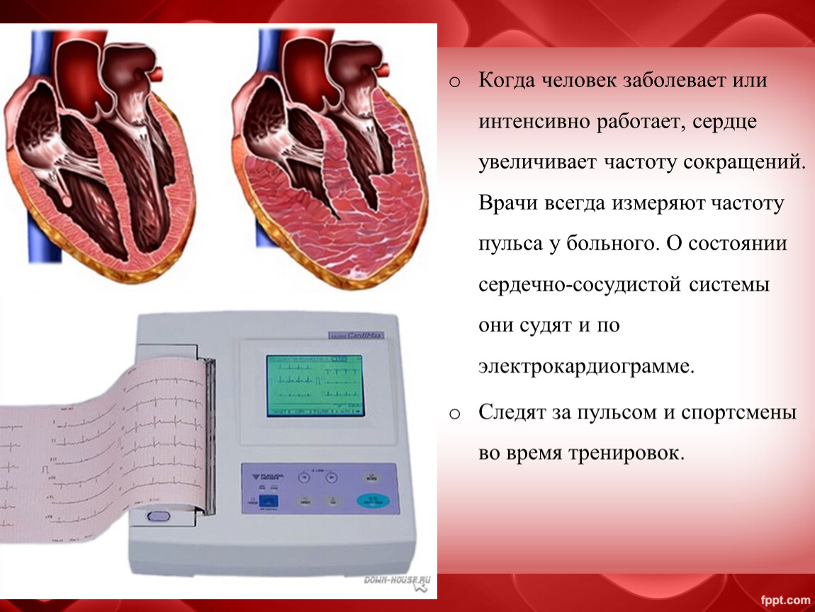 Презентация к уроку окружающий мир 3 класс