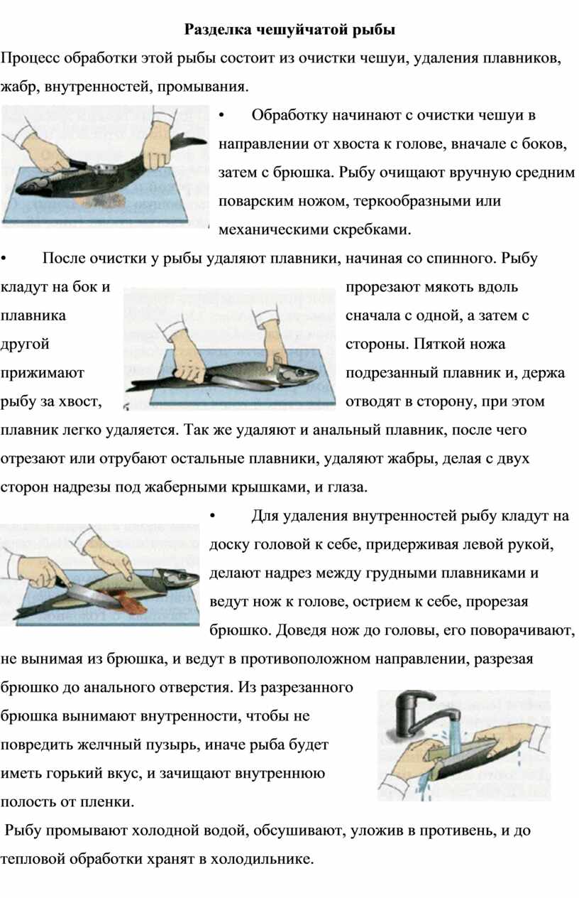 Приготовление рыбной котлетной массы и полуфабрикатов из нее