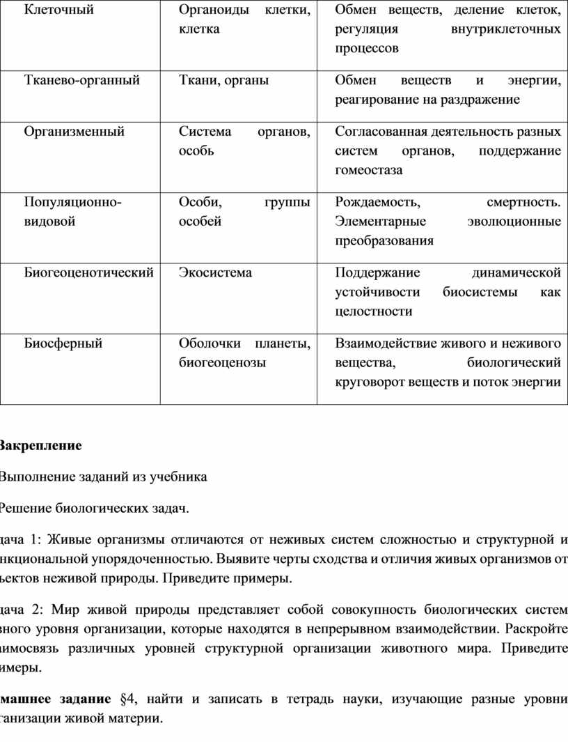Клеточный Органоиды клетки, клетка