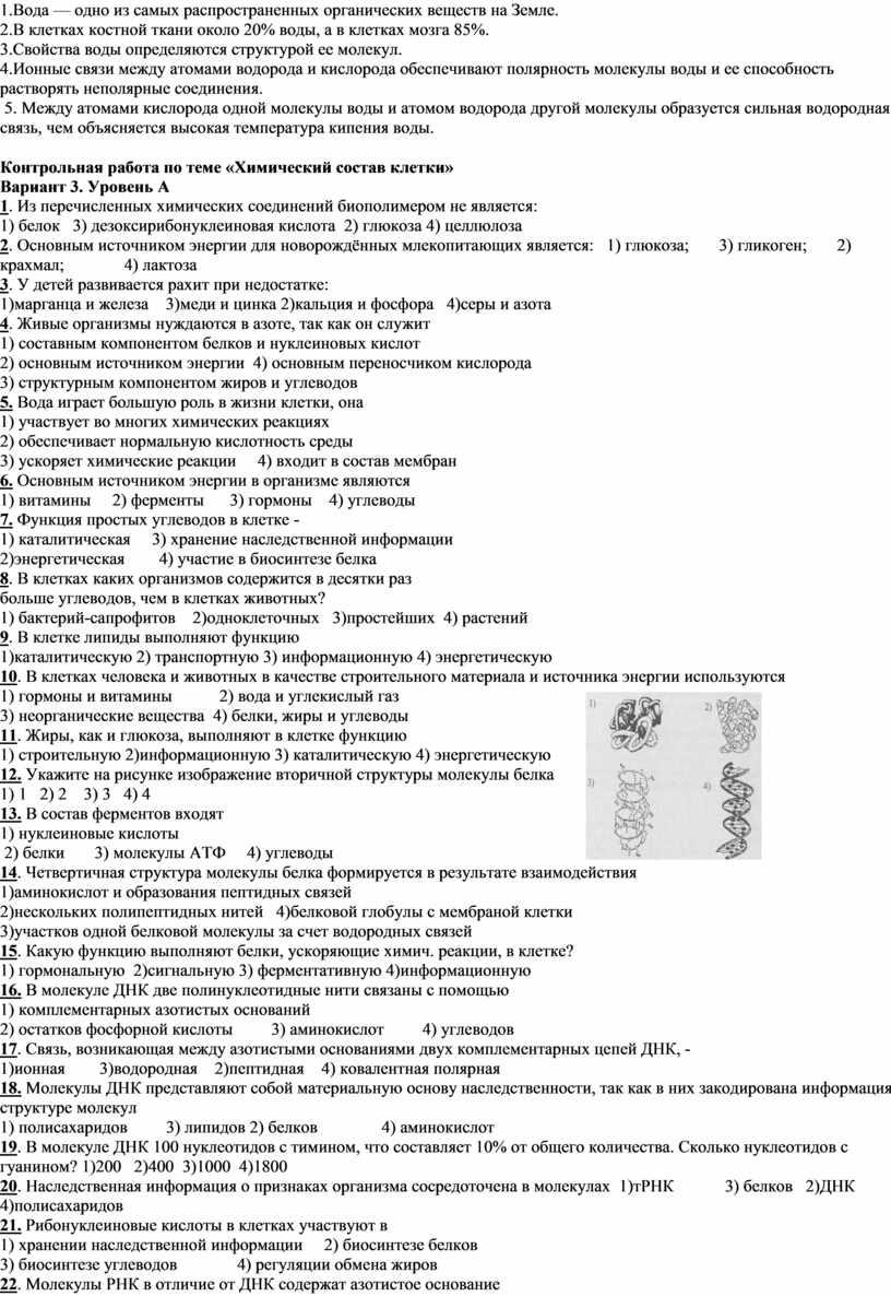 Вода — одно из самых распространенных органических веществ на