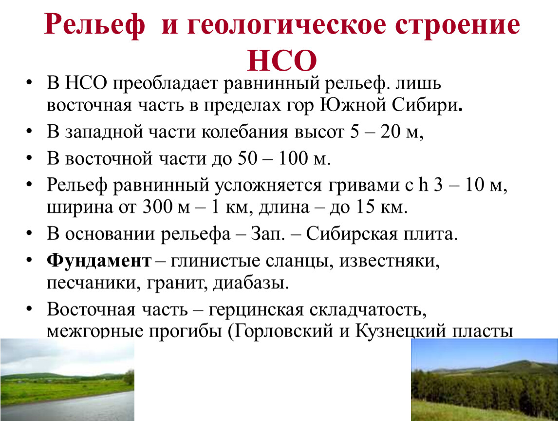 Назовите особенности геологического строения и рельефа. Формы рельефа Новосибирской области. Крупные формы рельефа НСО. Рельеф Новосибирской области кратко. Крупная форма рельефа Новосибирской области.