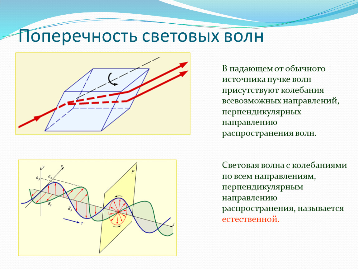 Направление волны. Поляризация света. Поперечность волн.. Поперечность и поляризация световых волн. Световые волны. Попреночсть светоых волн.