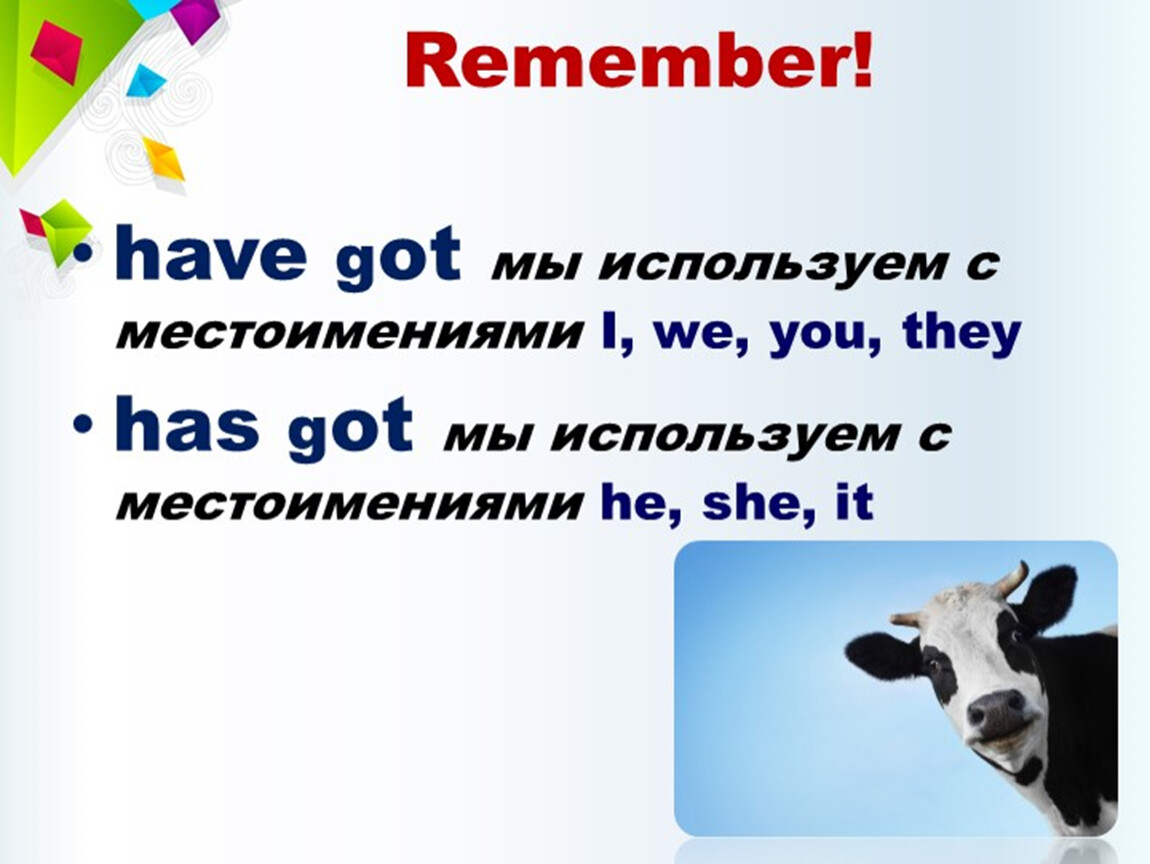 Cows have got short tails исправь