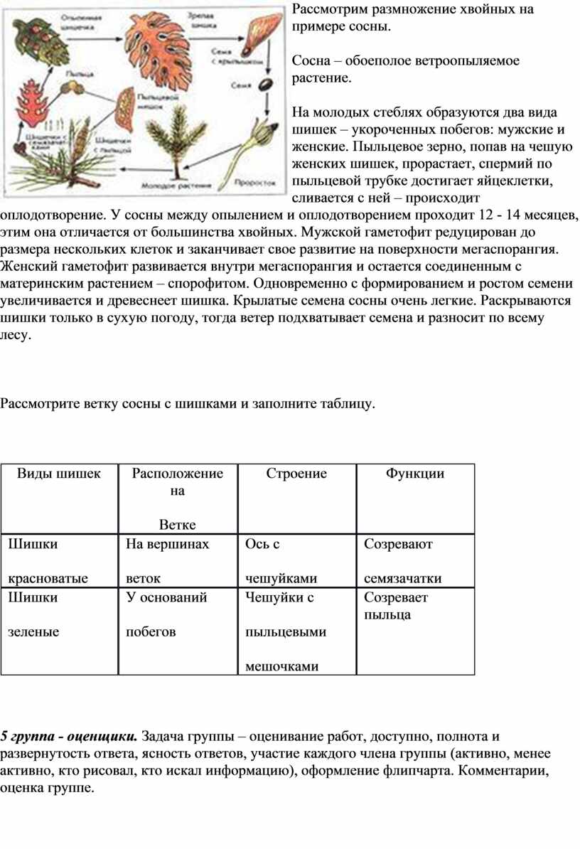 Особенности использования искусственной хвои