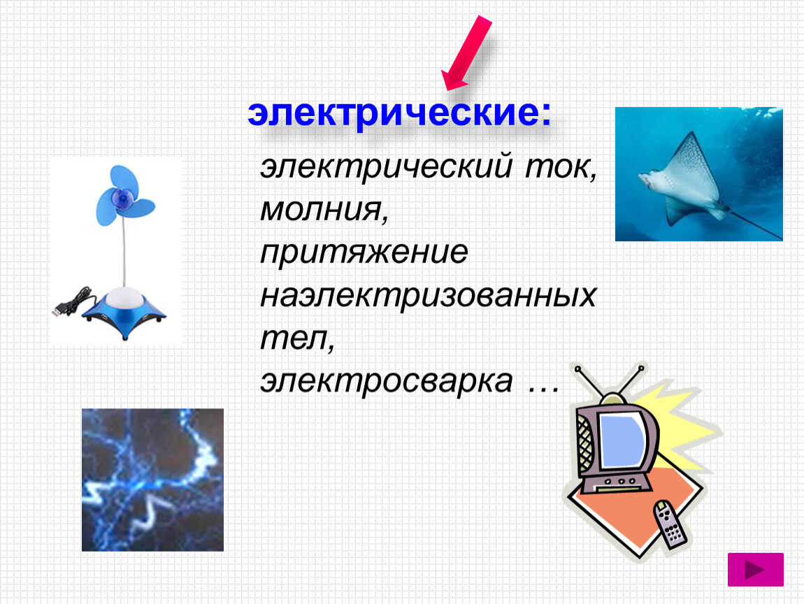 Физика. Введение в предмет» ( 2 урока) 7 класс