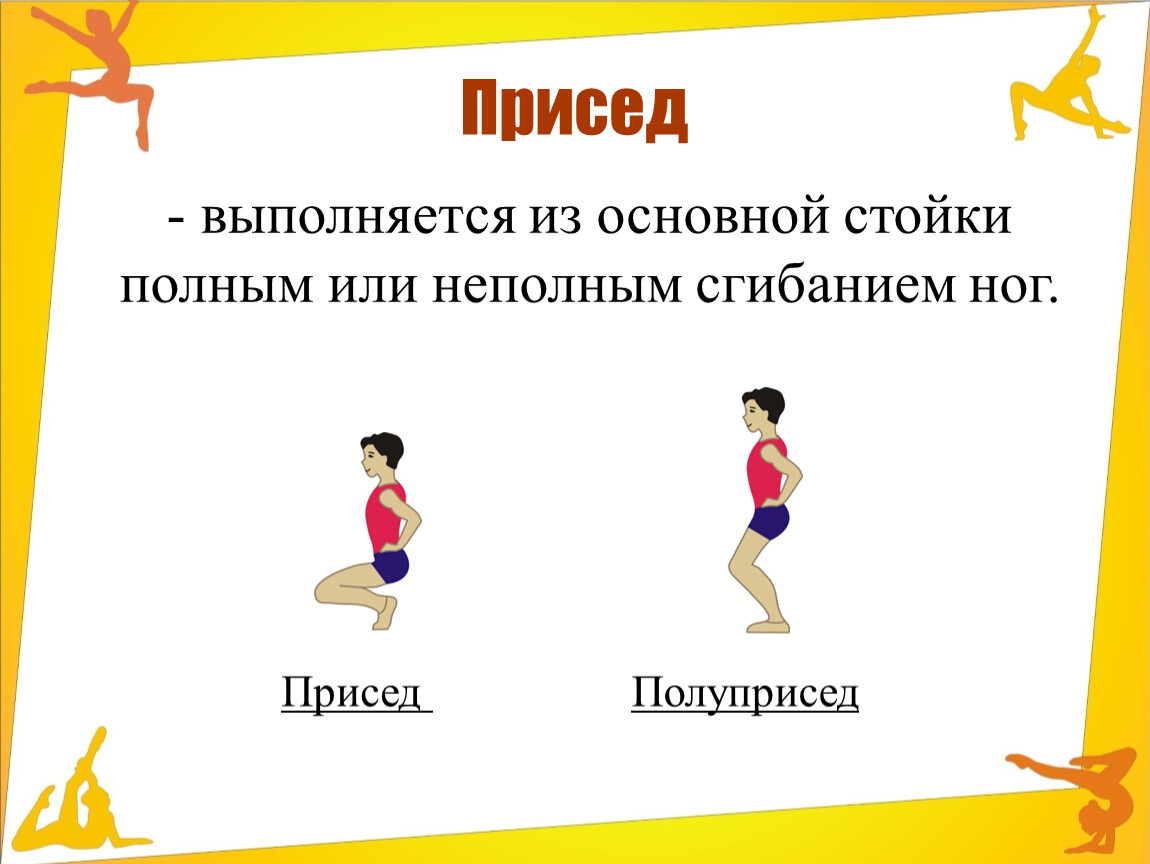 Понятие упражнение. Термины гимнастических упражнений. Присед в гимнастике. Присед в терминологии. Стойки в физкультуре.