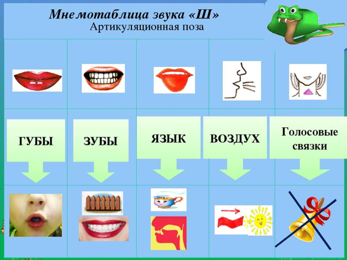 Звук ш положение. Акустико артикуляционная характеристика звука л. Схема артикуляции звука ш. Артикуляционная гимнастика по постановки звука ш. Мнемотаблица для артикуляции звуков.