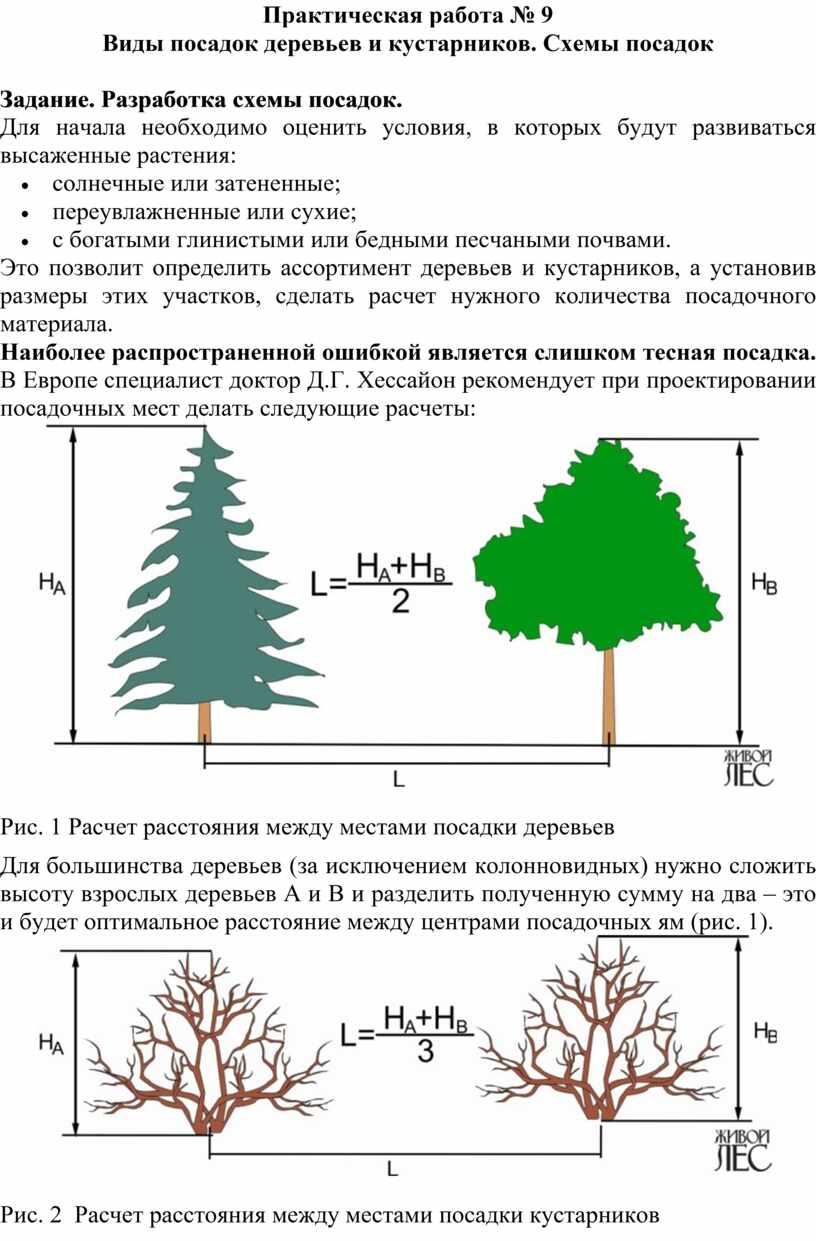 3 типы посадок