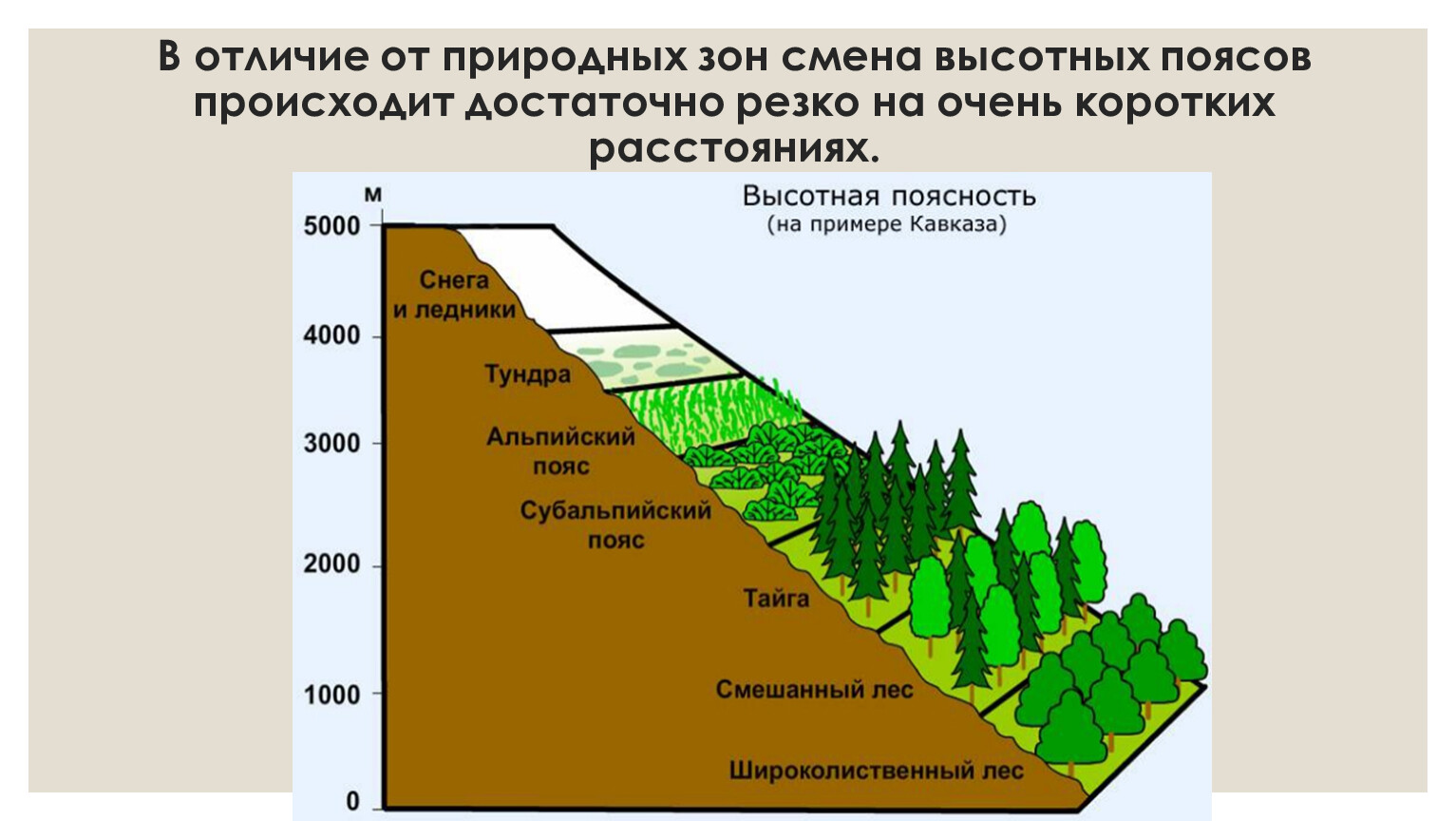 Высотная поясность гор Кавказа