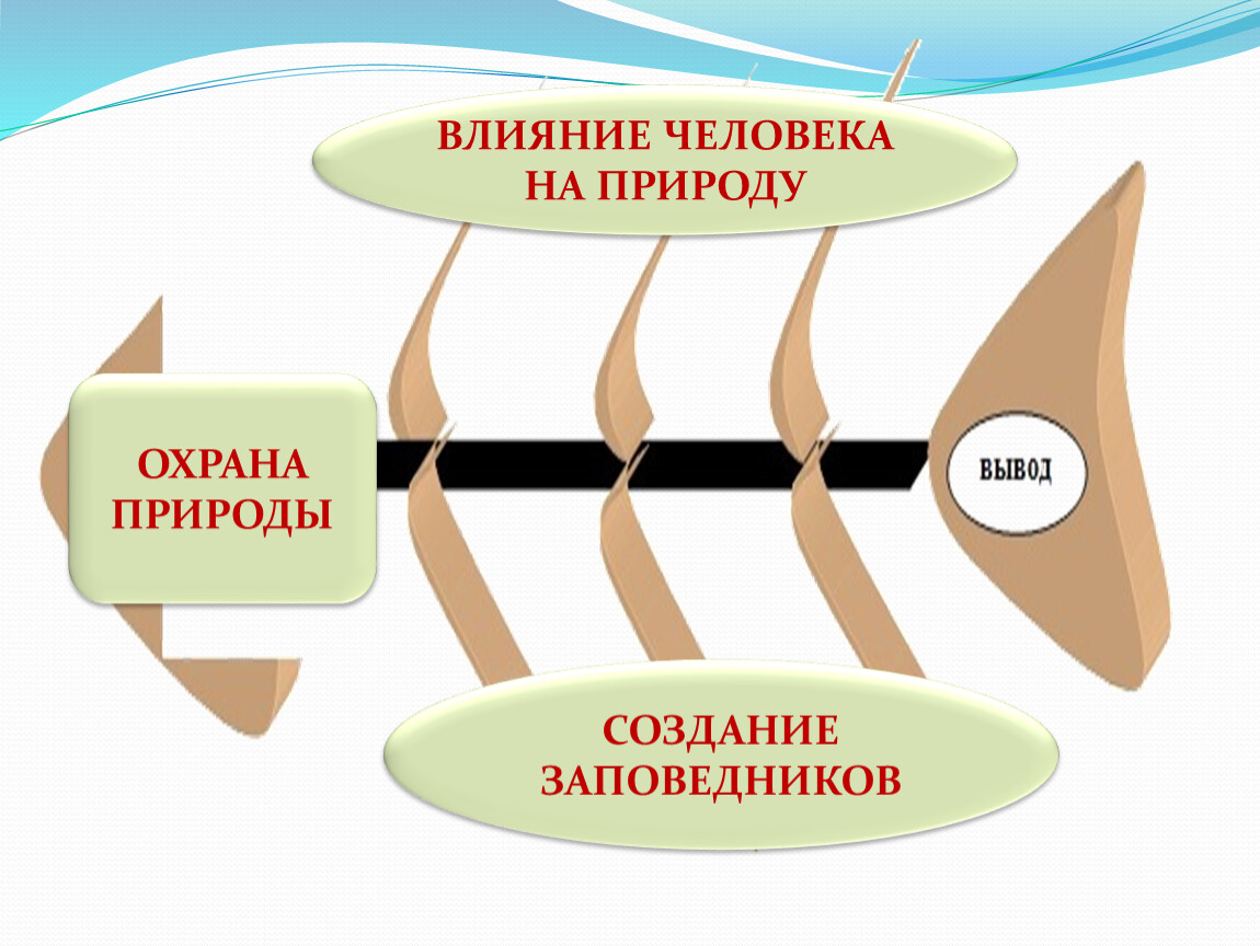 Презентация о заповедниках 3 класс школа 21 века