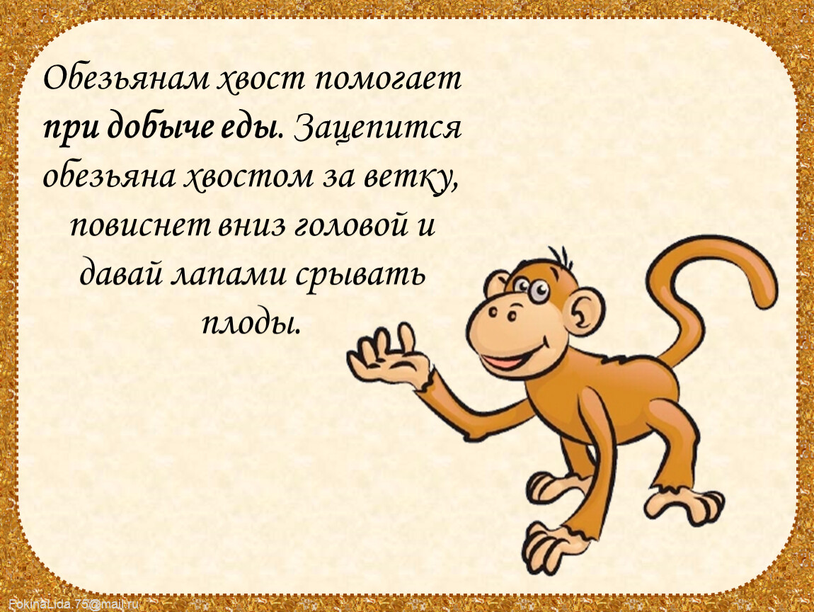 Стихотворение мартышка. Стих про обезьянку. Предложение про обезьяну. Предложение со словом обезьяна. Предложения с хвостами.