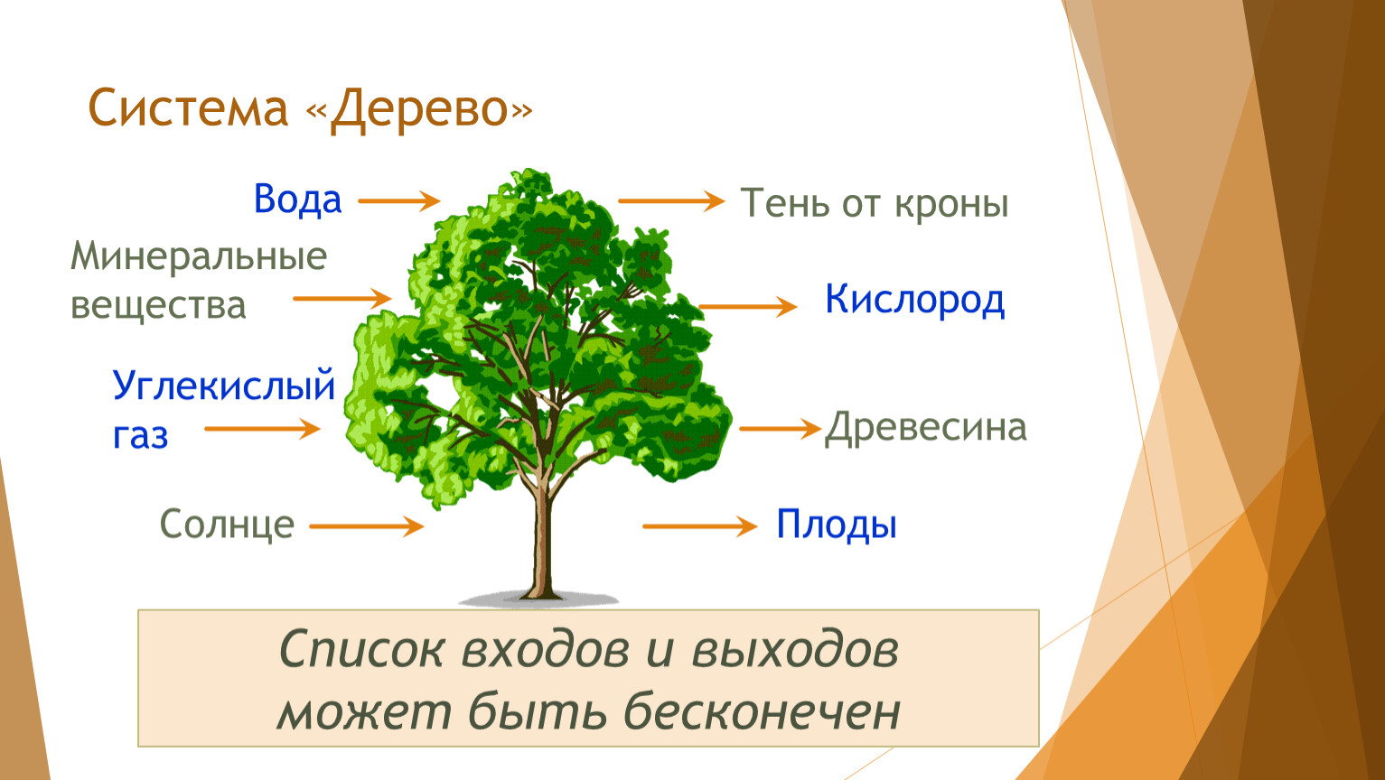 Элемент системы дерево. Система дерева. Вход и выход для системы дерево:. Система дерева Информатика. Входы система дерево Информатика.