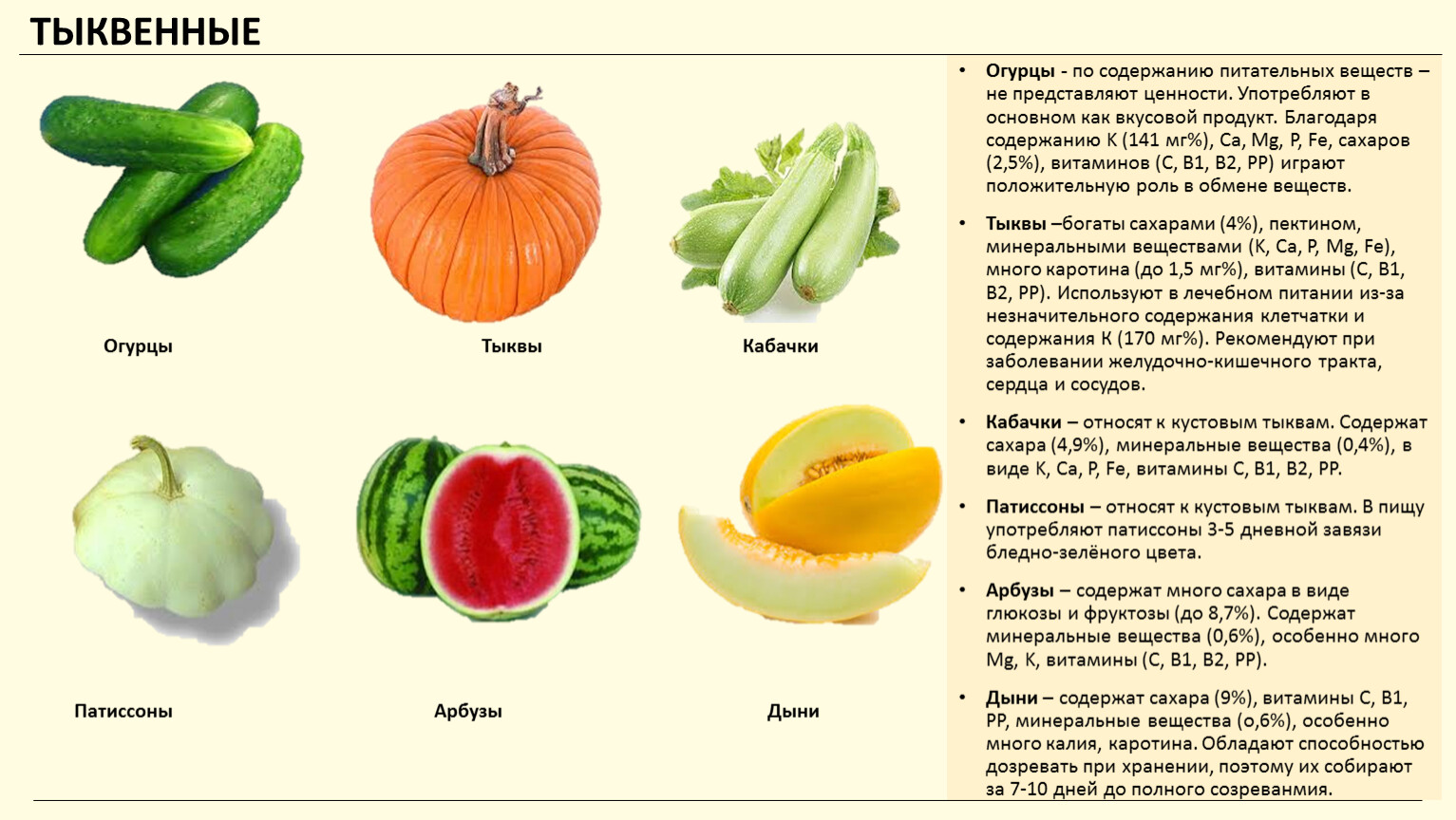 Какие витамины содержит арбуз. Тыквенные овощи классификация. Тыквенные овощи Товароведение. Витамины в кабачке. Тыквенные томатные овощи классификация.