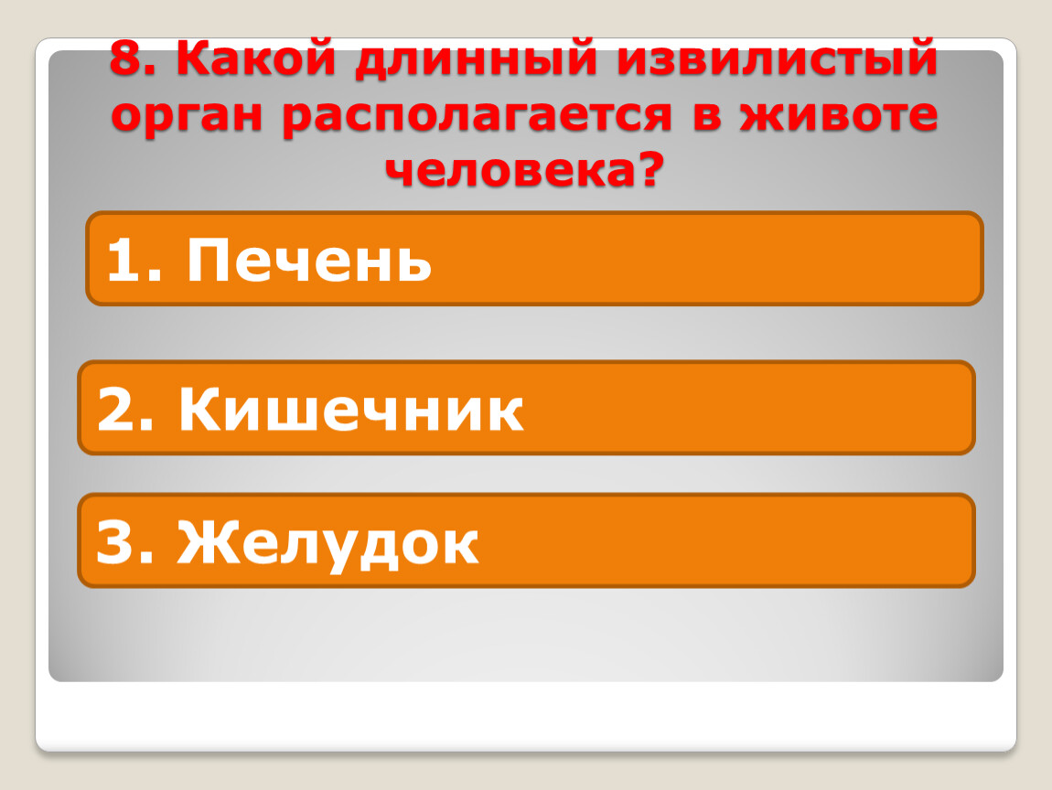 Какой орган похож на длинный извилистый коридор