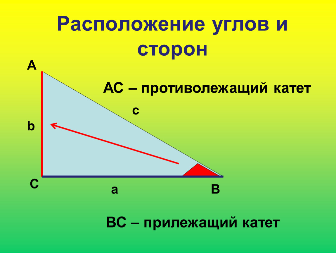 Сторона треугольника противолежащая прямому углу. Прилежащий катет. Прилежащий и противолежащий катет. Прилежащийприлежащий Катт. Прилежащий катет и противолежащий катет.