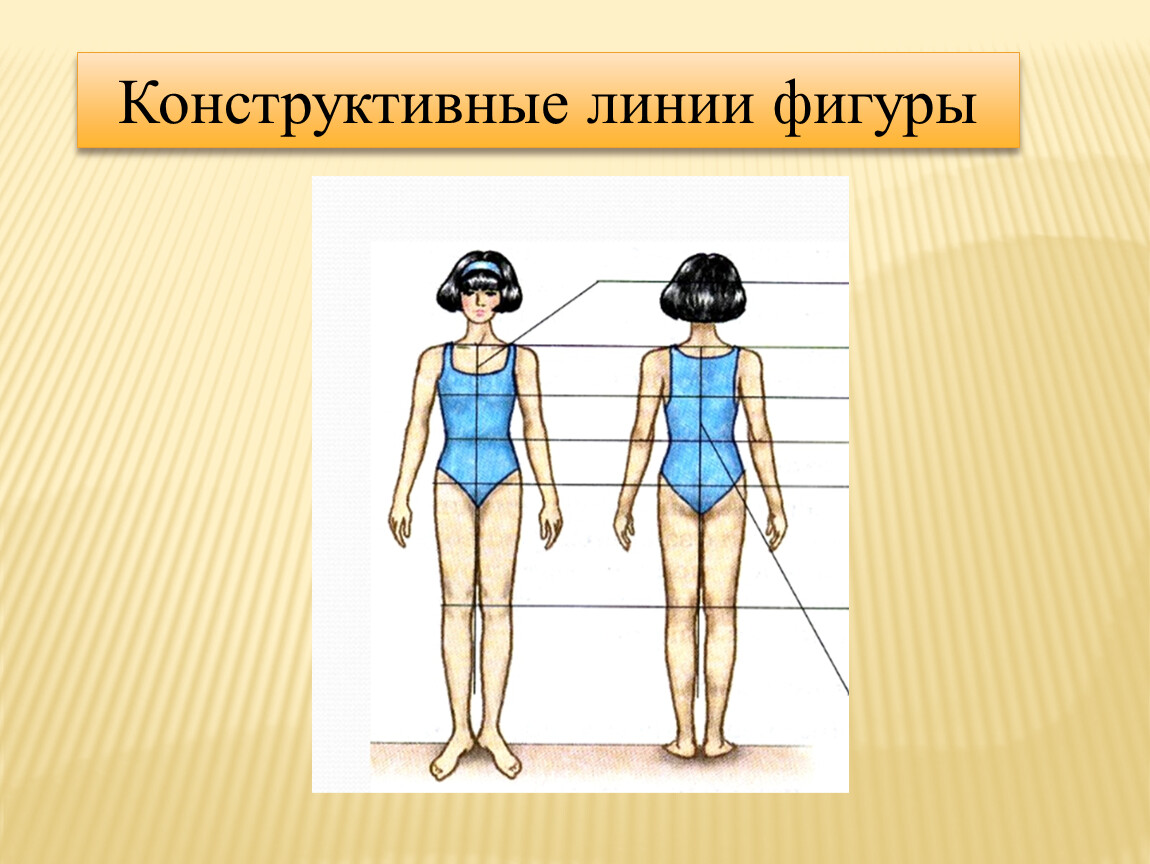 Линии человека. Конструктивные линии фигуры. Конструктивные линии фигуры человека. Конструктивные линии фигуры человека 5 класс. Конструктивные линии на фтгурине.