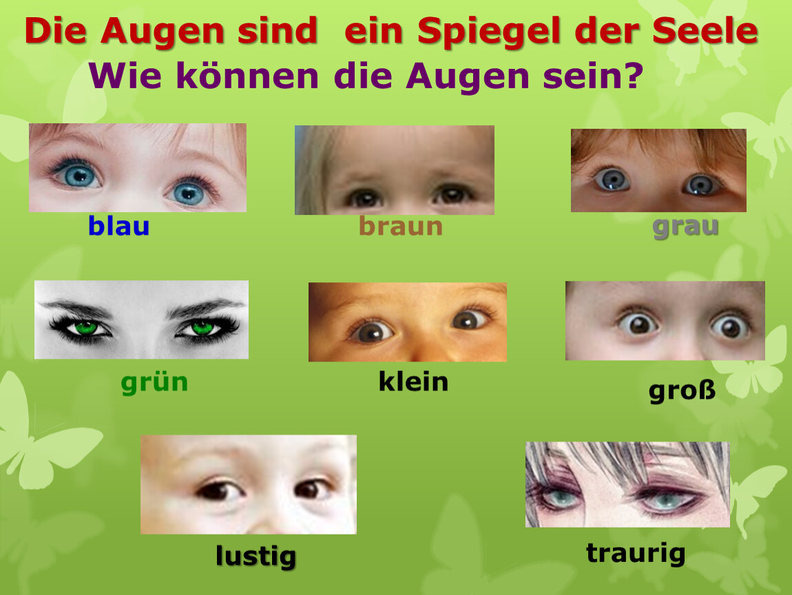 Описание внешности человека на немецком языке (презентация)