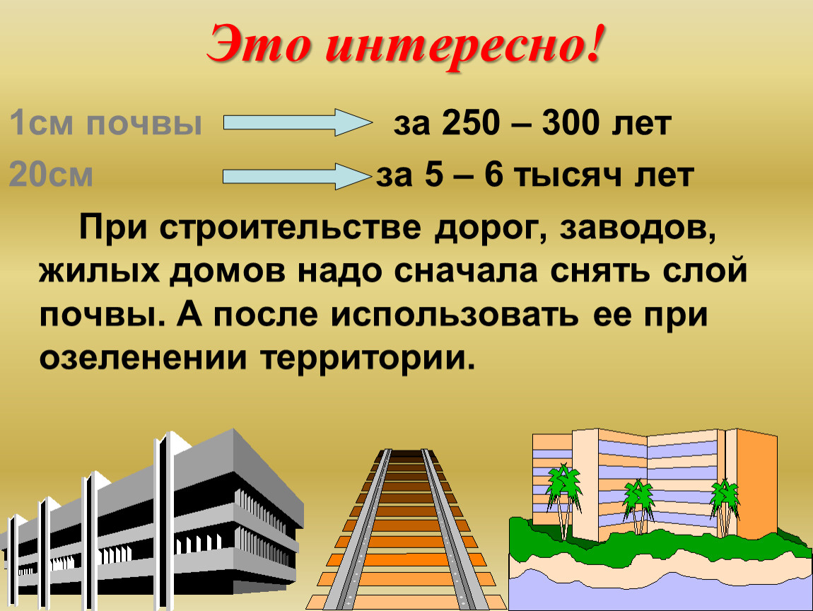 Это интересно! 1см почвы за 250 – 300 лет 20см за 5 – 6 тысяч лет