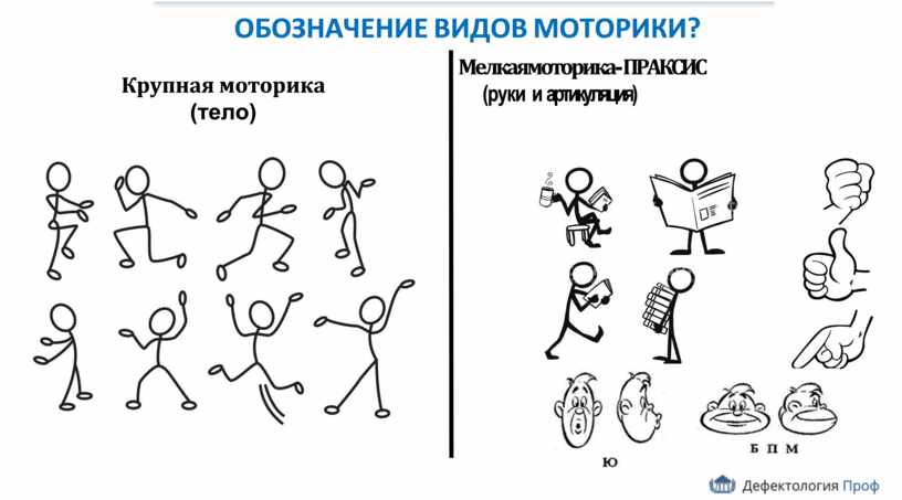 ОБОЗНАЧЕНИЕ ВИДОВ МОТОРИКИ?